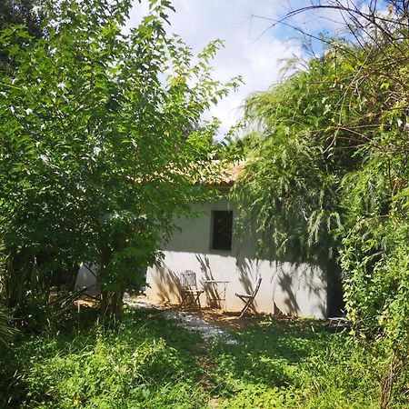 Villa Griseor 维琪奥港 外观 照片