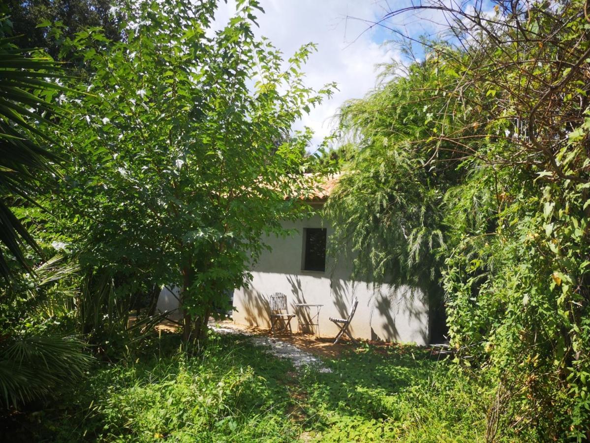 Villa Griseor 维琪奥港 外观 照片